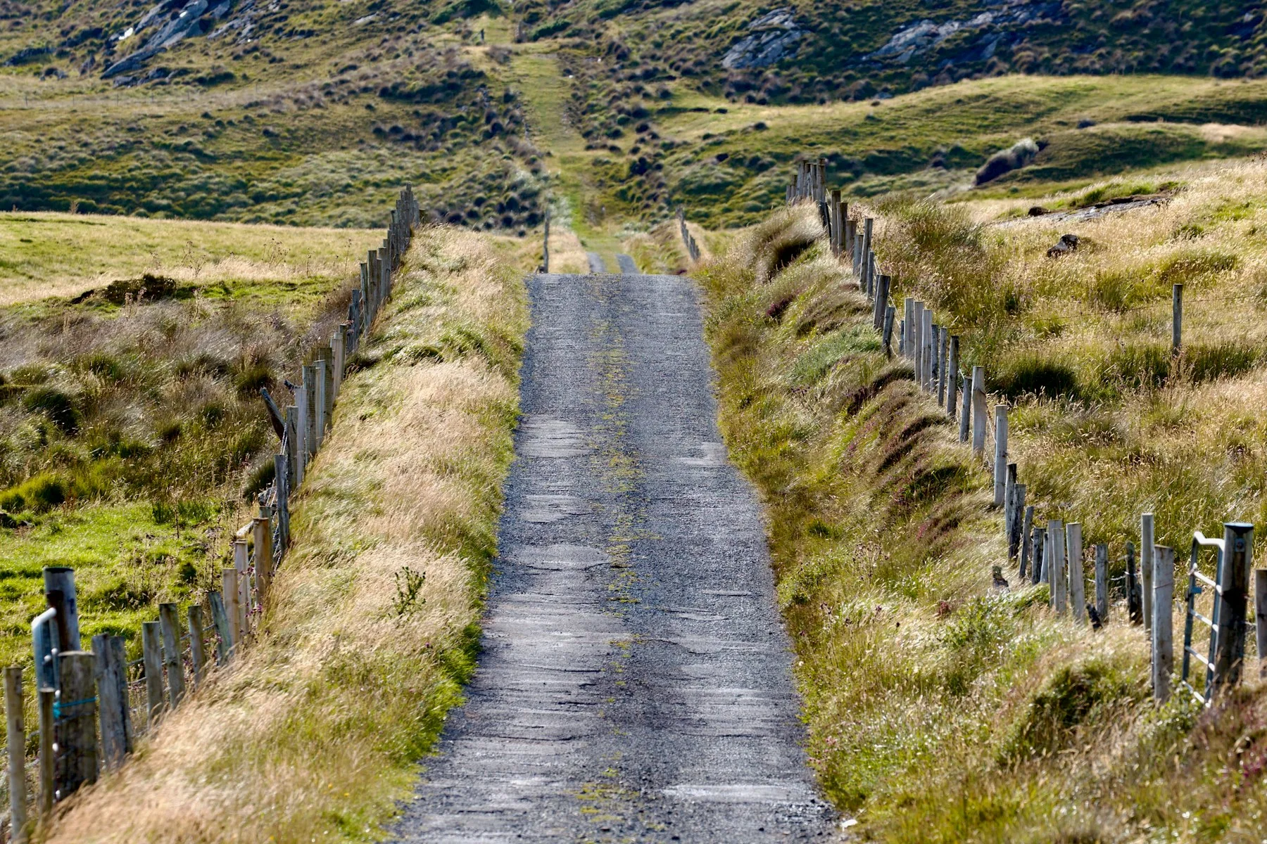 Private Driver or Self-Drive in Ireland: Which Is Right for You?